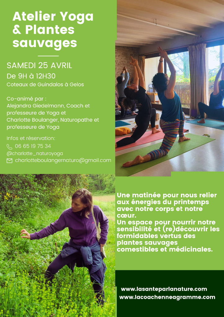 illustration Yoga et Plantes sauvages
