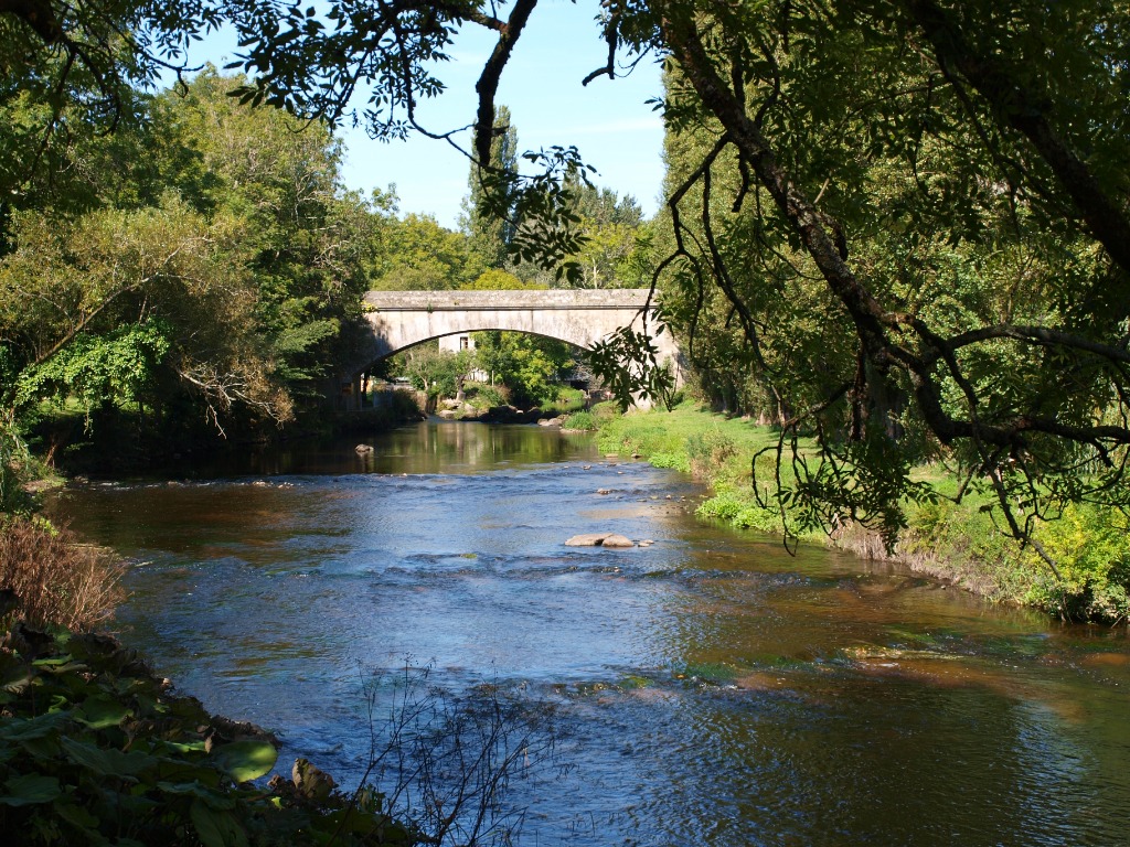 illustration Gestion du stress : retrouver calme et équilibre grâce à l'hypnose