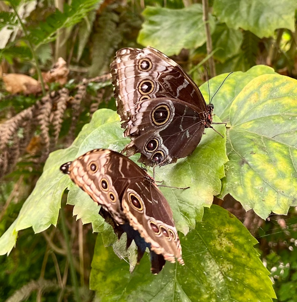 illustration Week-end stage “Plein Potentiel” : groupe 2 !