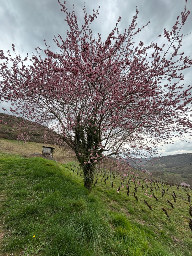 illustration Et si vous pouviez enfin vous libérer de ce qui vous pèse au quotidien ?