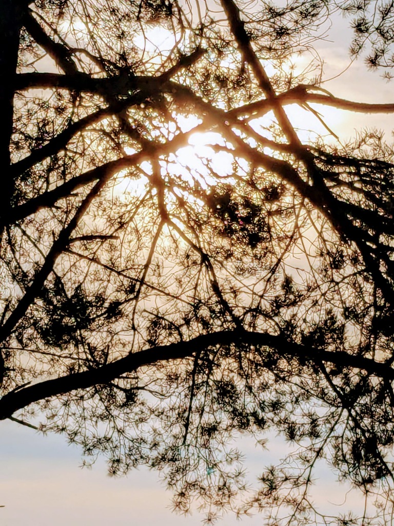 illustration Burn-out à Nîmes : comment la sophrologie peut vous aider à sortir de l’épuisement