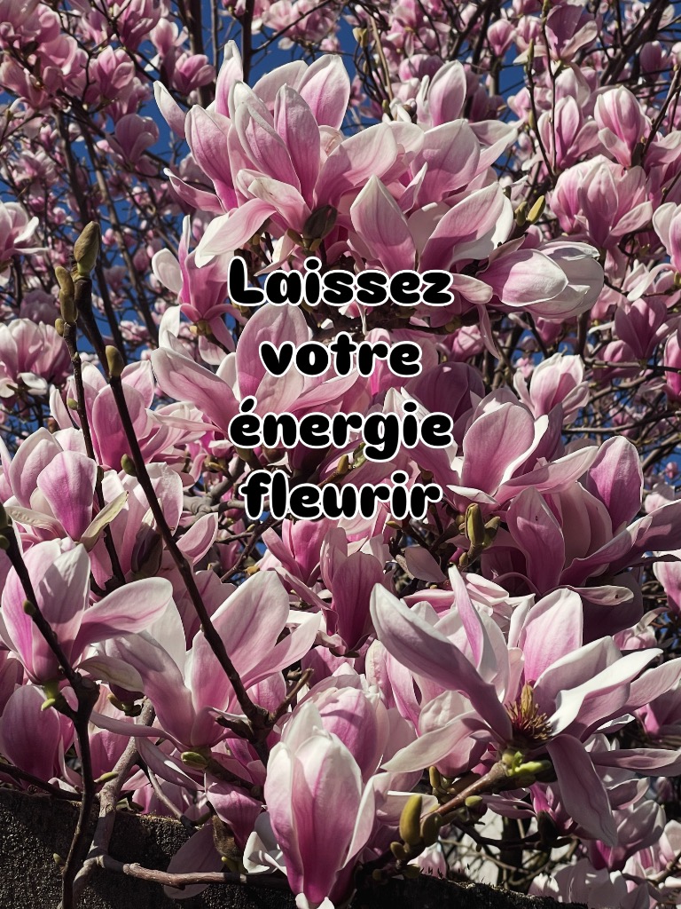 illustration Shiatsu