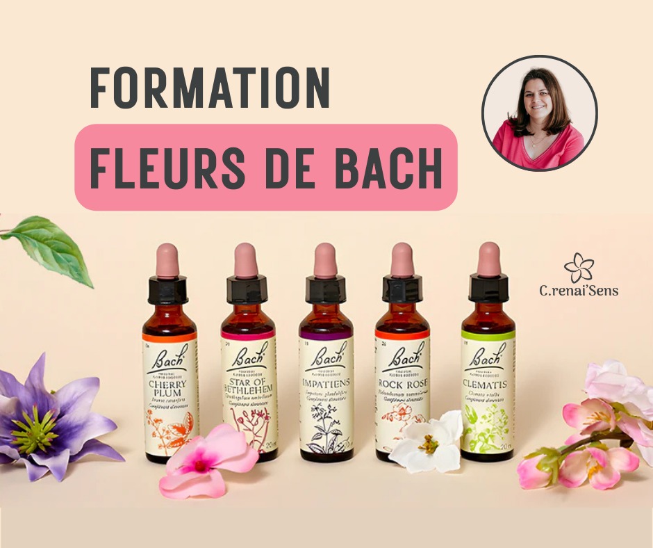 illustration Formation Fleurs de Bach