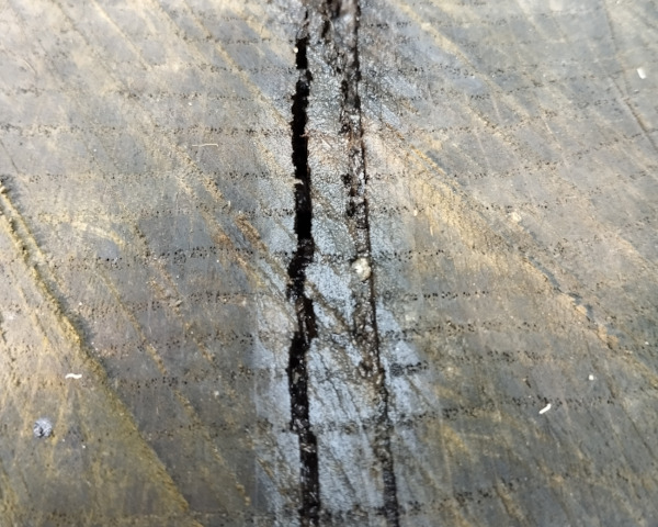 illustration Pourquoi répète-t-on toujours les mêmes schémas ?