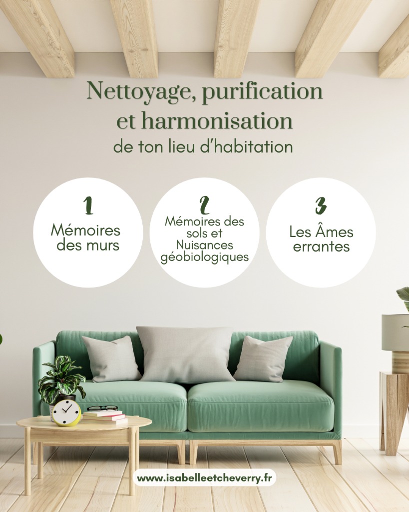 illustration Soin de l'habitat