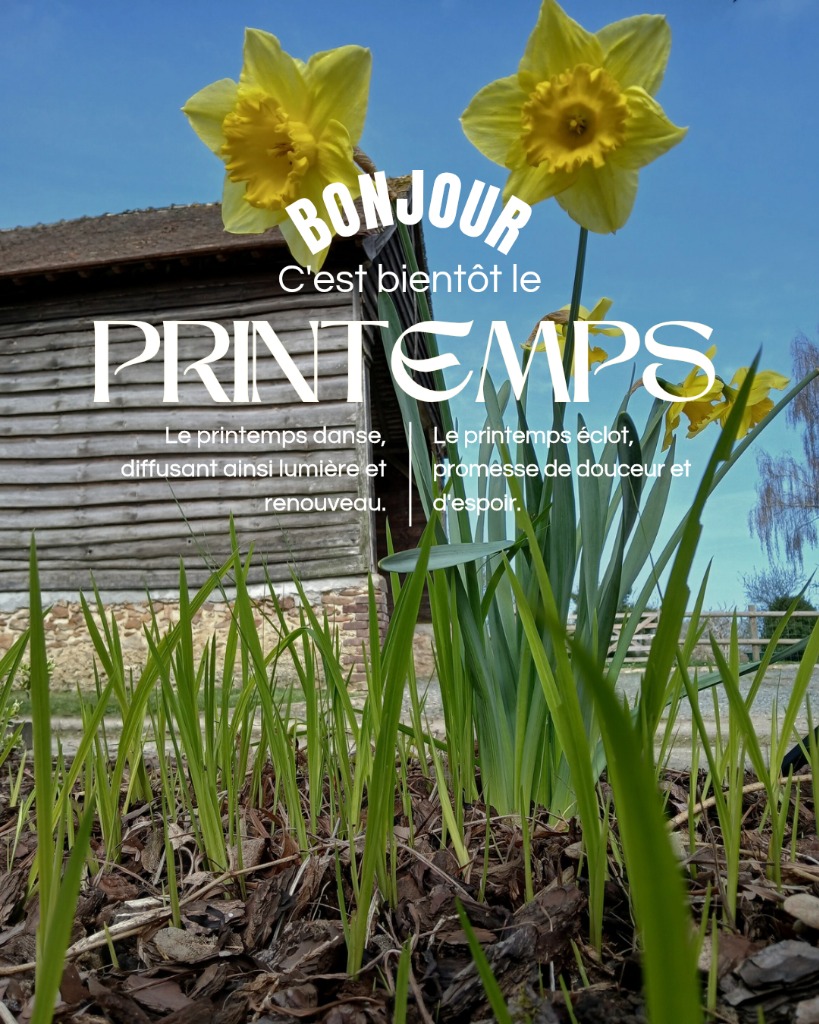 illustration Bienvenue le printemps