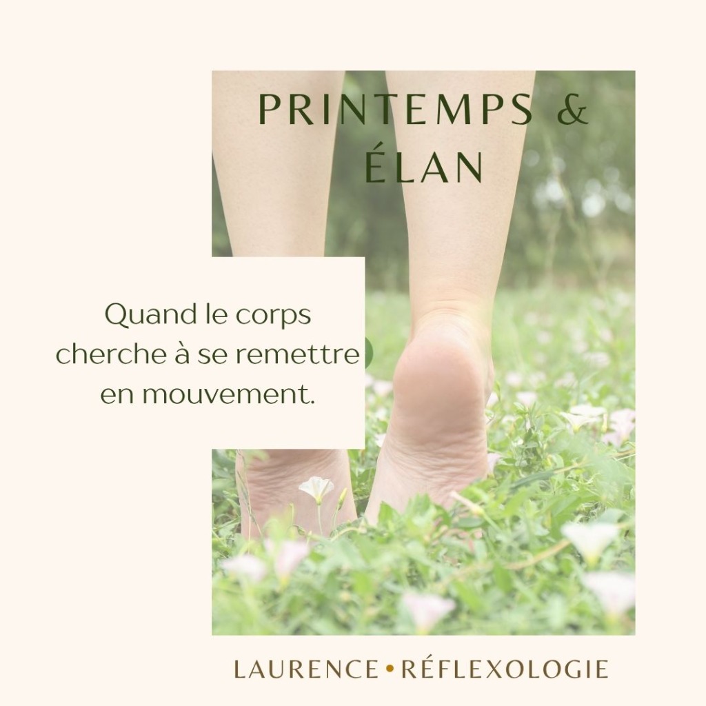 illustration Printemps : accompagner le corps dans la transition