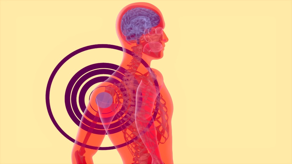 illustration Inflammation chronique/système nerveux : un lien méconnu