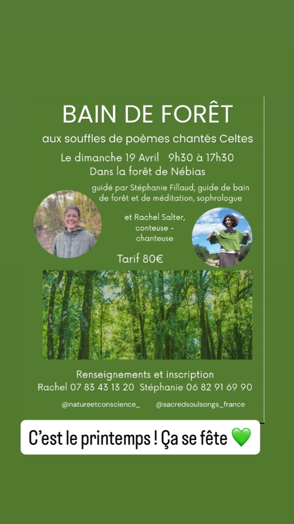 illustration Bain de forêt et contes Celtes