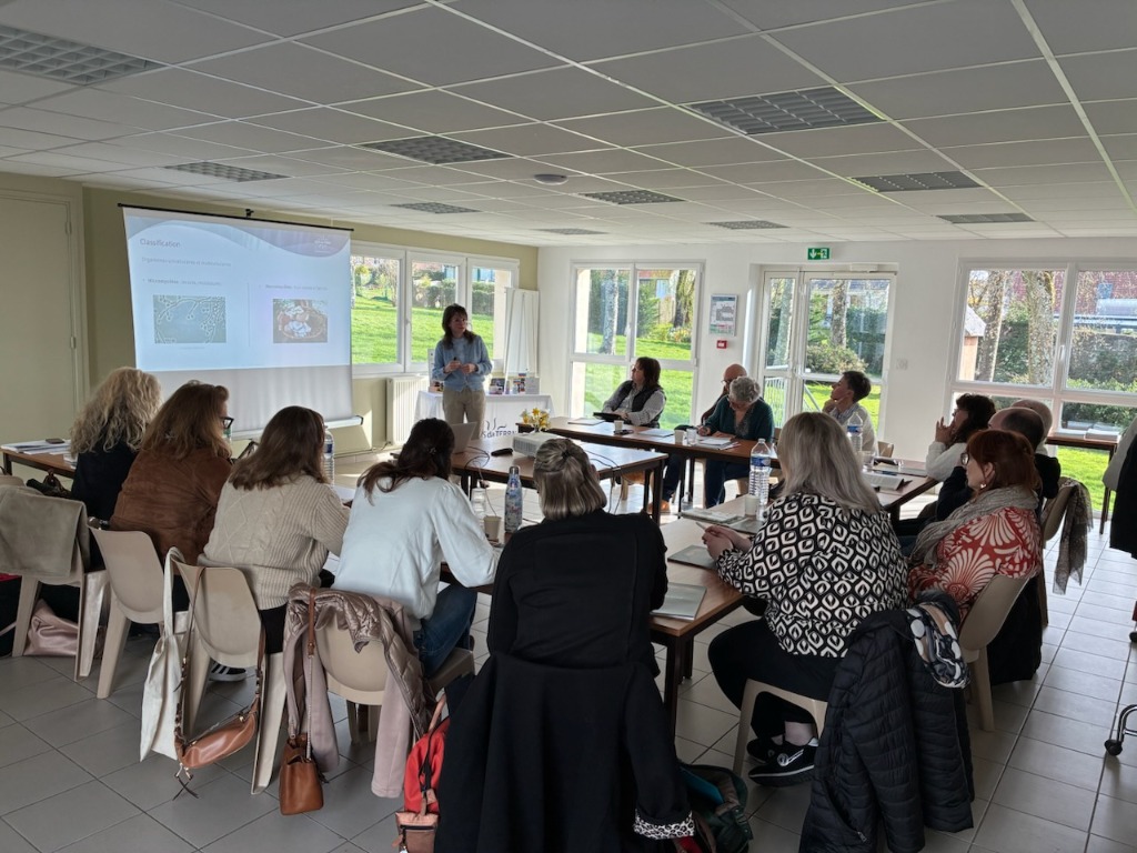 illustration La mycothérapie