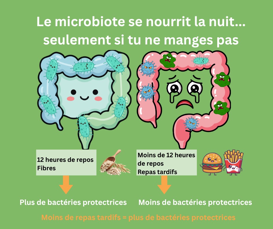 illustration Nourrissez votre microbiote pour une meilleure digestion