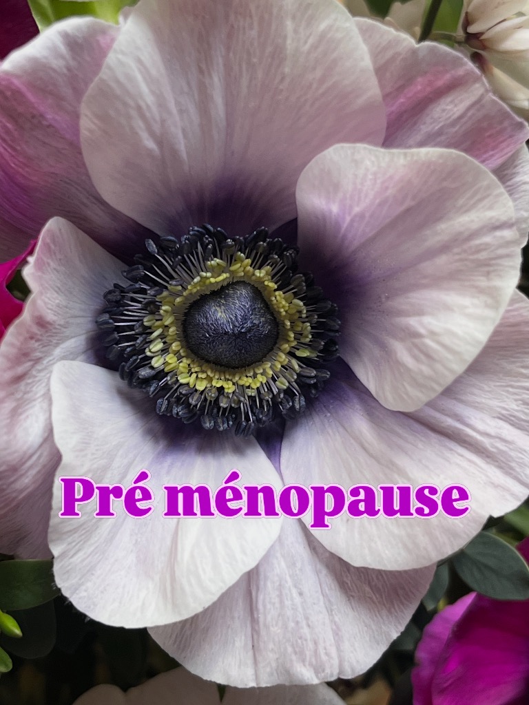 illustration La pré ménopause