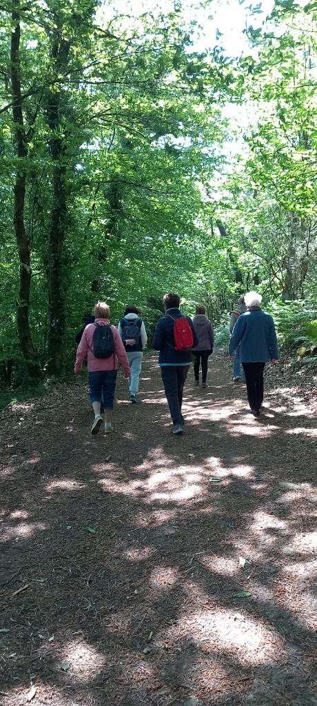 illustration SOPHRO-BALADE