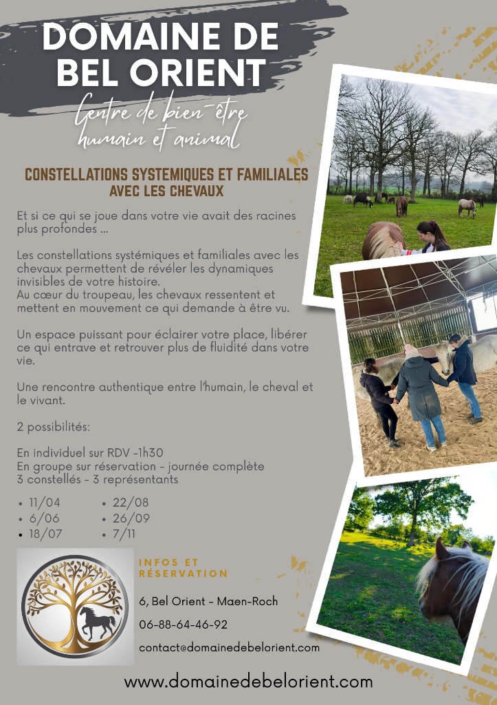 illustration Constellations systémiques et familiales