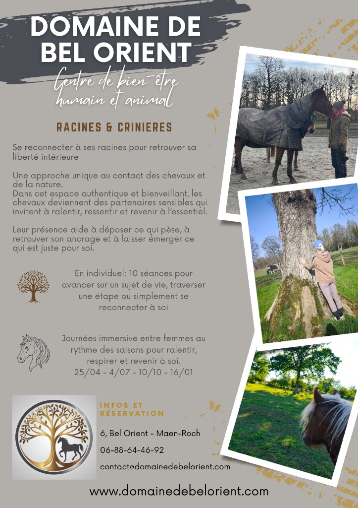 illustration Journée immersive Racines et Crinières