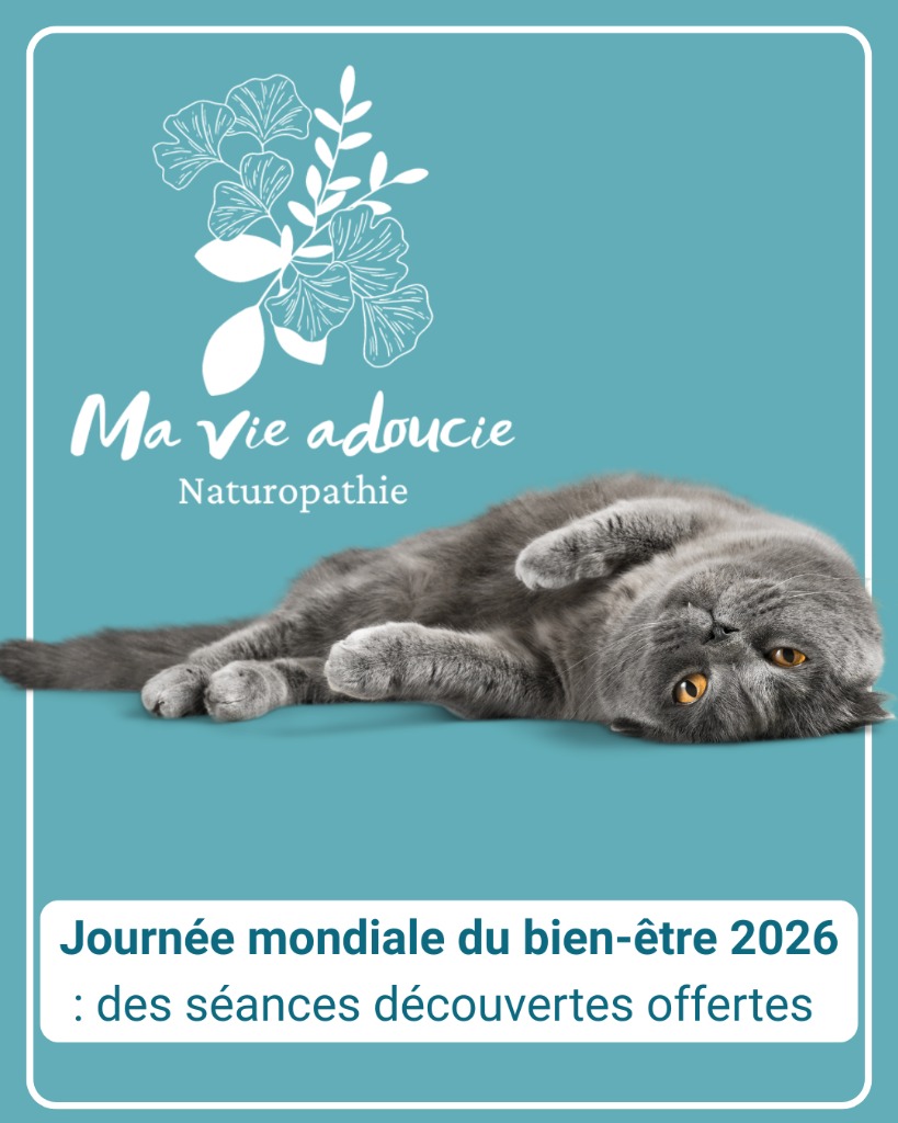 illustration Journée mondiale du bien-être 2026 : des séances découverte offertes !