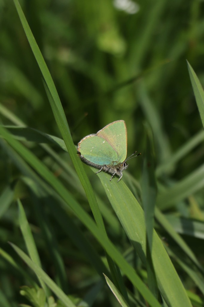 illustration Ouverture du cabinet de Gestalt-Thérapie à Clermont-Ferrand (63)