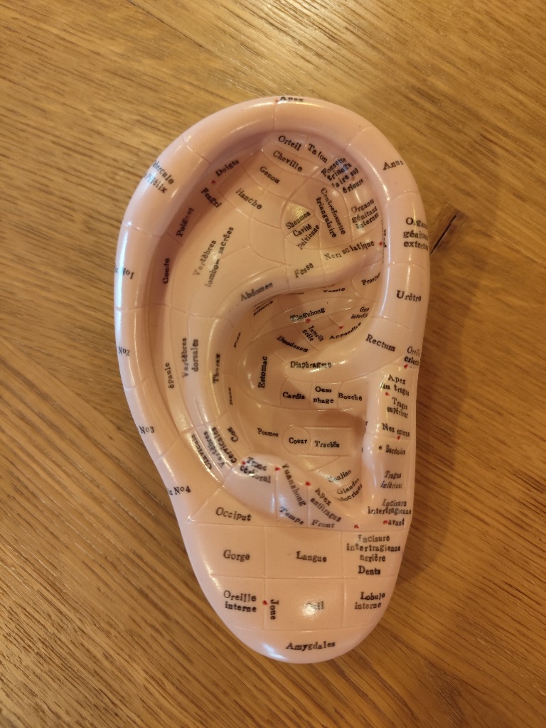 illustration La Réflexologie Auriculaire
