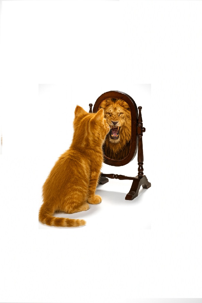 illustration Et si vous testiez l'hypnose... gratuitement ?