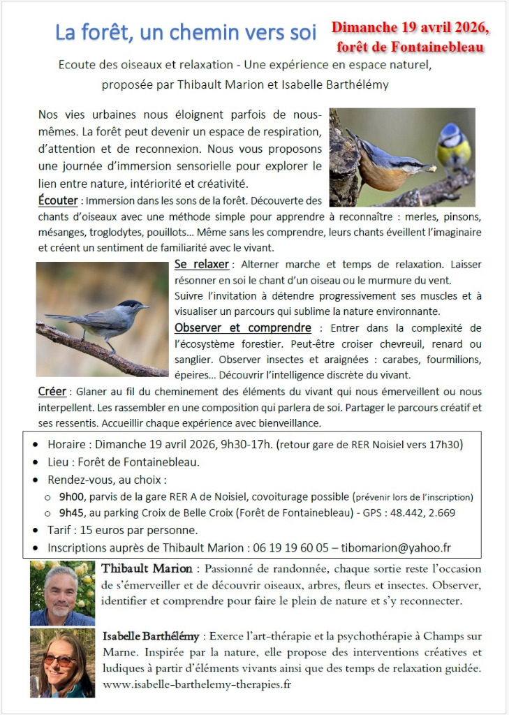 illustration La forêt, un chemin vers soi - Ecoute des oiseaux et relaxation - Sortie en forêt de Fontainebleau