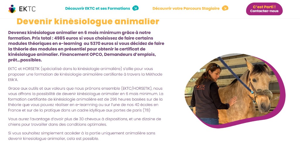 illustration Formation de kinésiologie équine certifiante - Methode Etik'A - lien cavalier/cheval - De septembre à décembre 2026 dans le 78