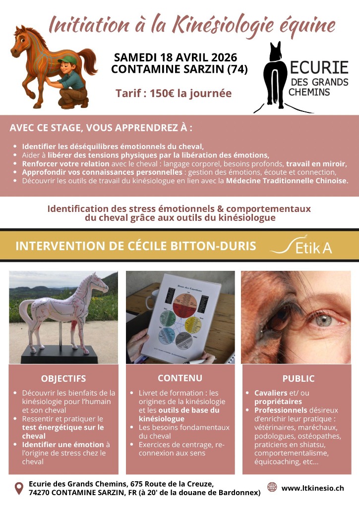 illustration Inititation à la kinésiologie humaine et équine selon la methode Etik'A le 18/04/2026
