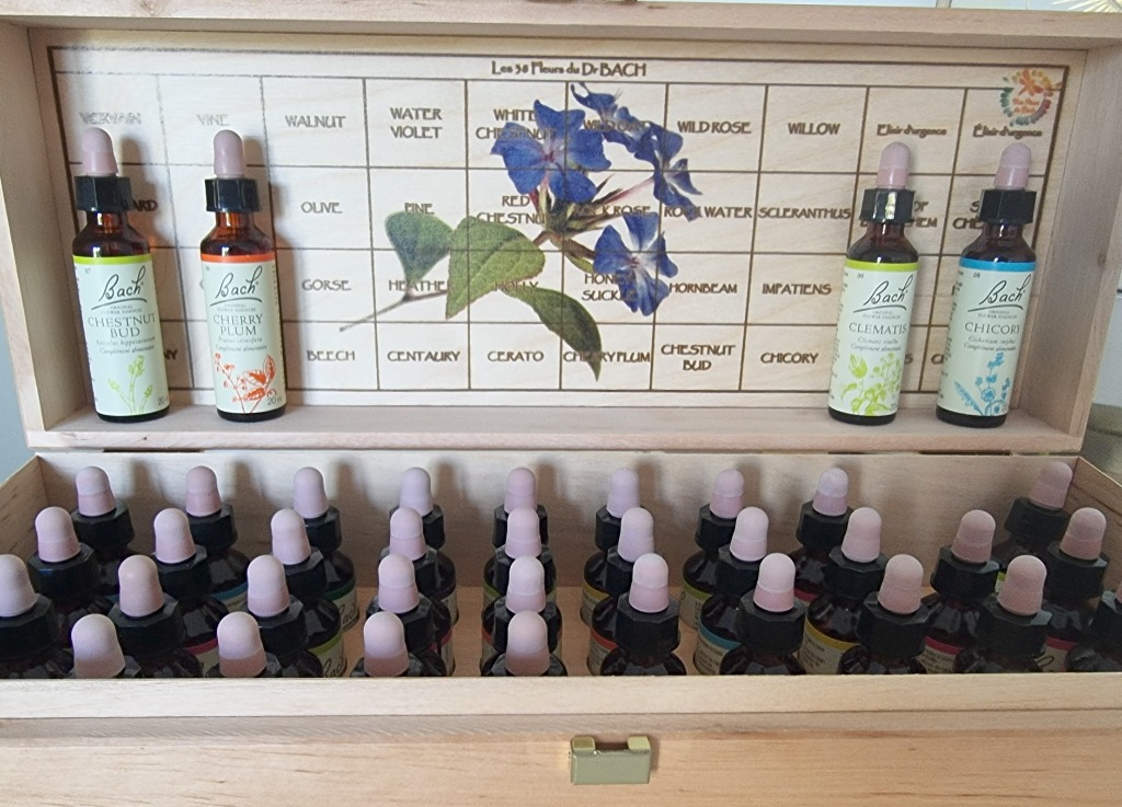illustration Fleurs de Bach
