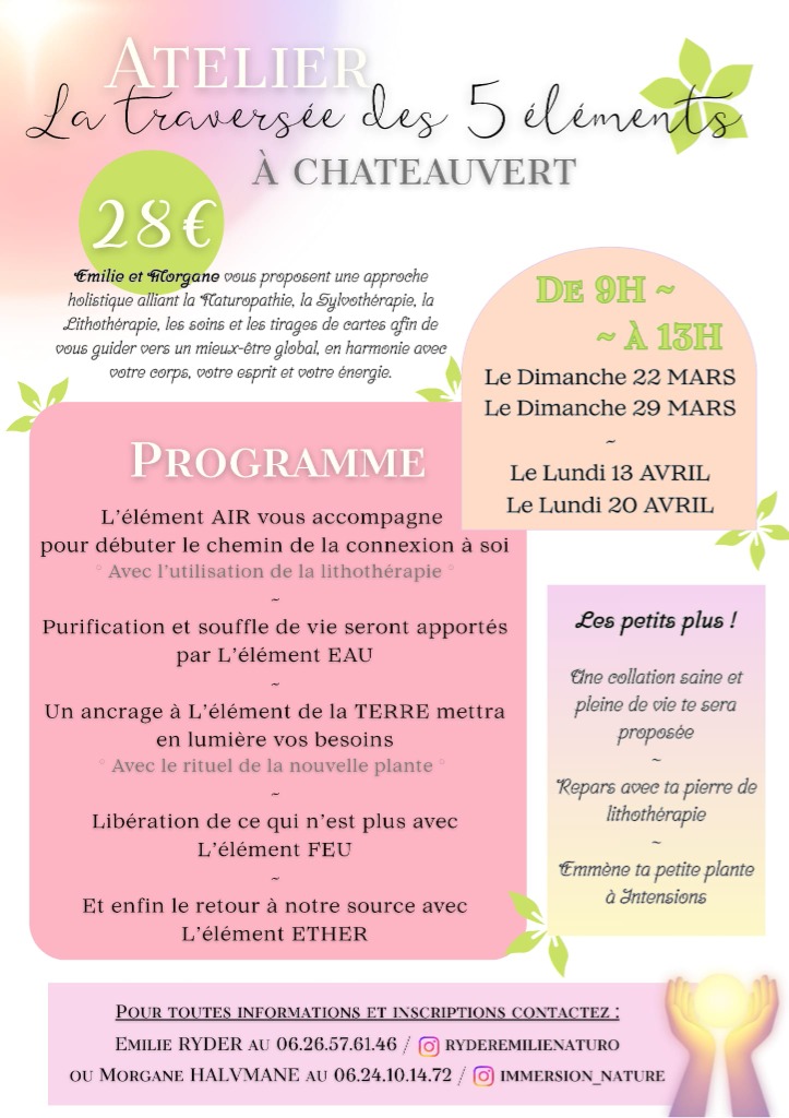 illustration La traversée des 5 éléments