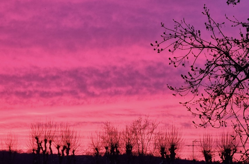illustration Sophrologue spécialisée dans la gestion du stress et de l’anxiété