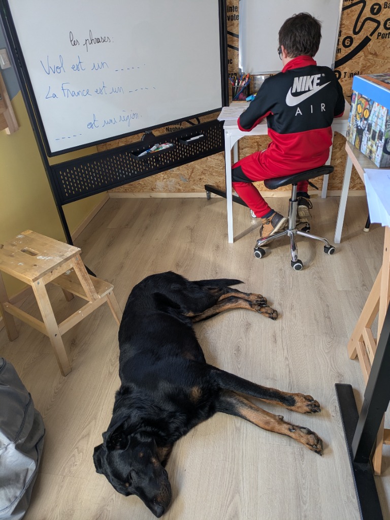 illustration Séance avec Toutou