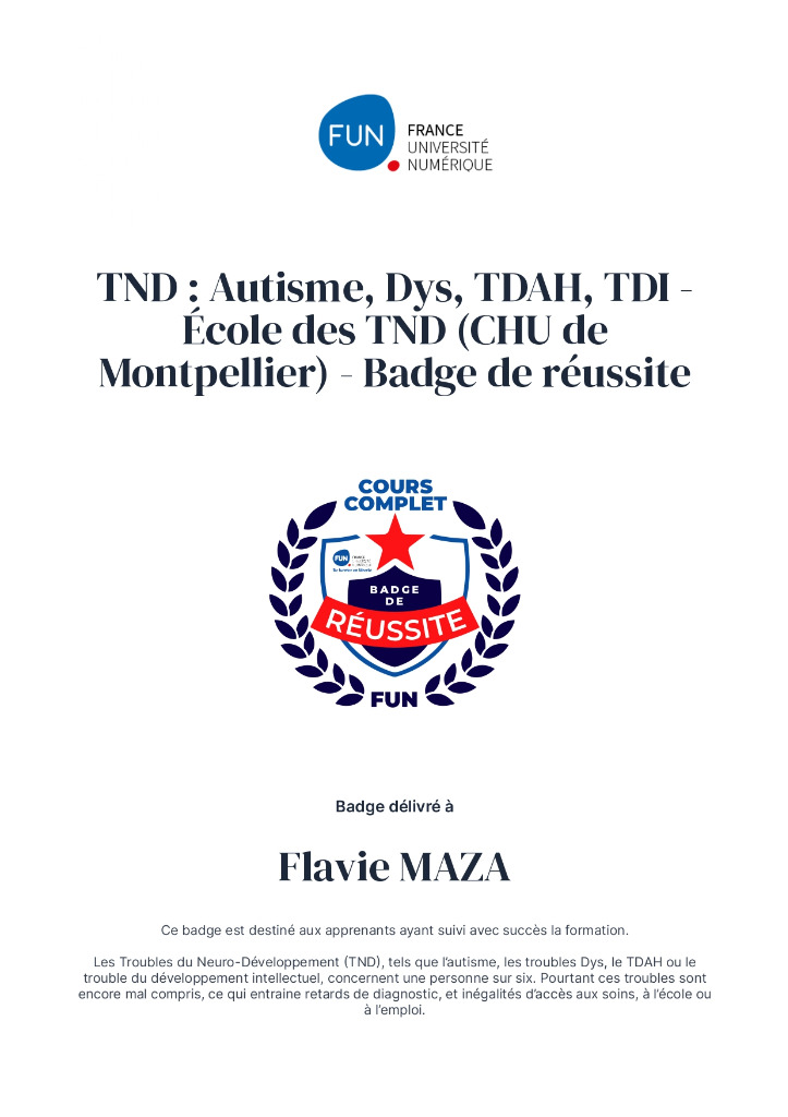 illustration Troubles du Neuro-Développement certification