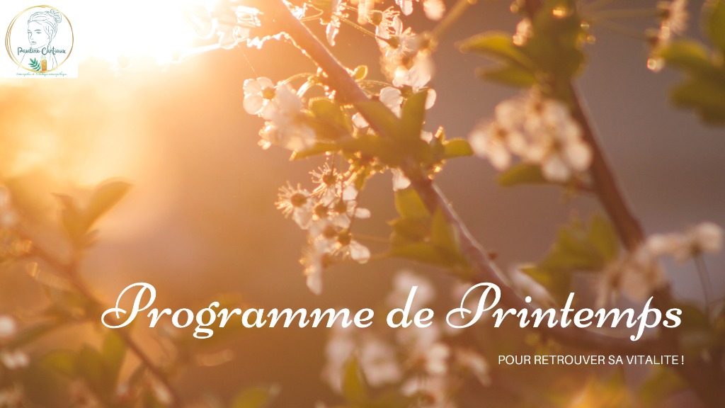 illustration programme de printemps