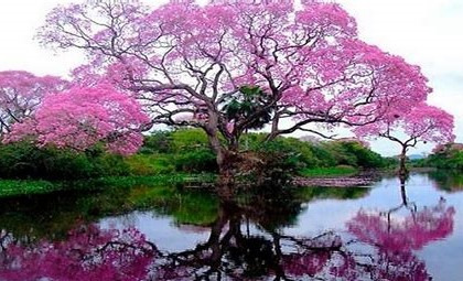 illustration Gestion du stress et EFT