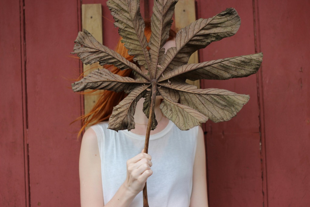 illustration S’effacer ou prendre sa place : retrouver sa voix et son énergie