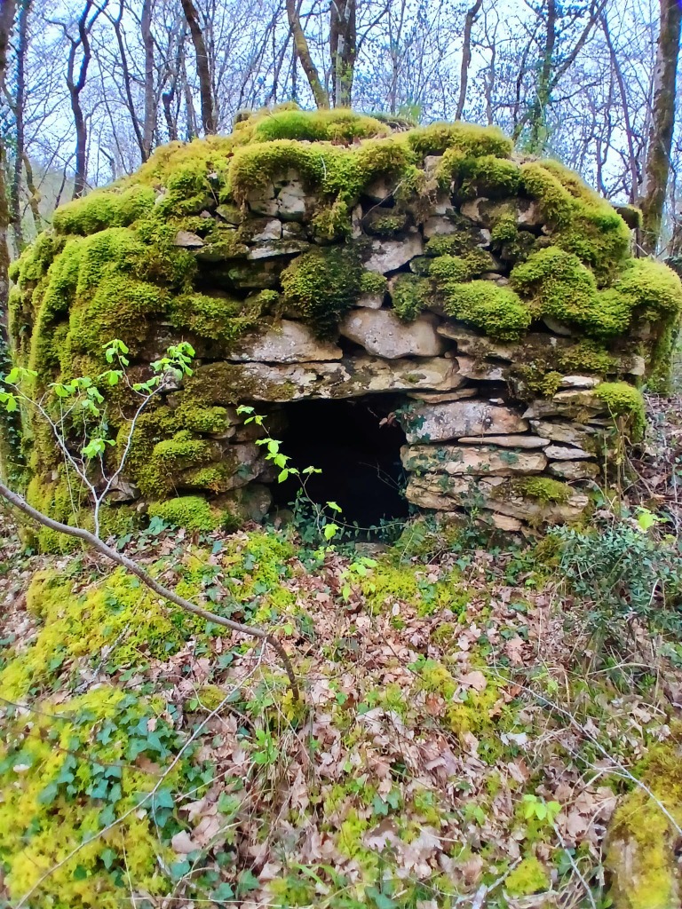 illustration La nature et ses bienfaits