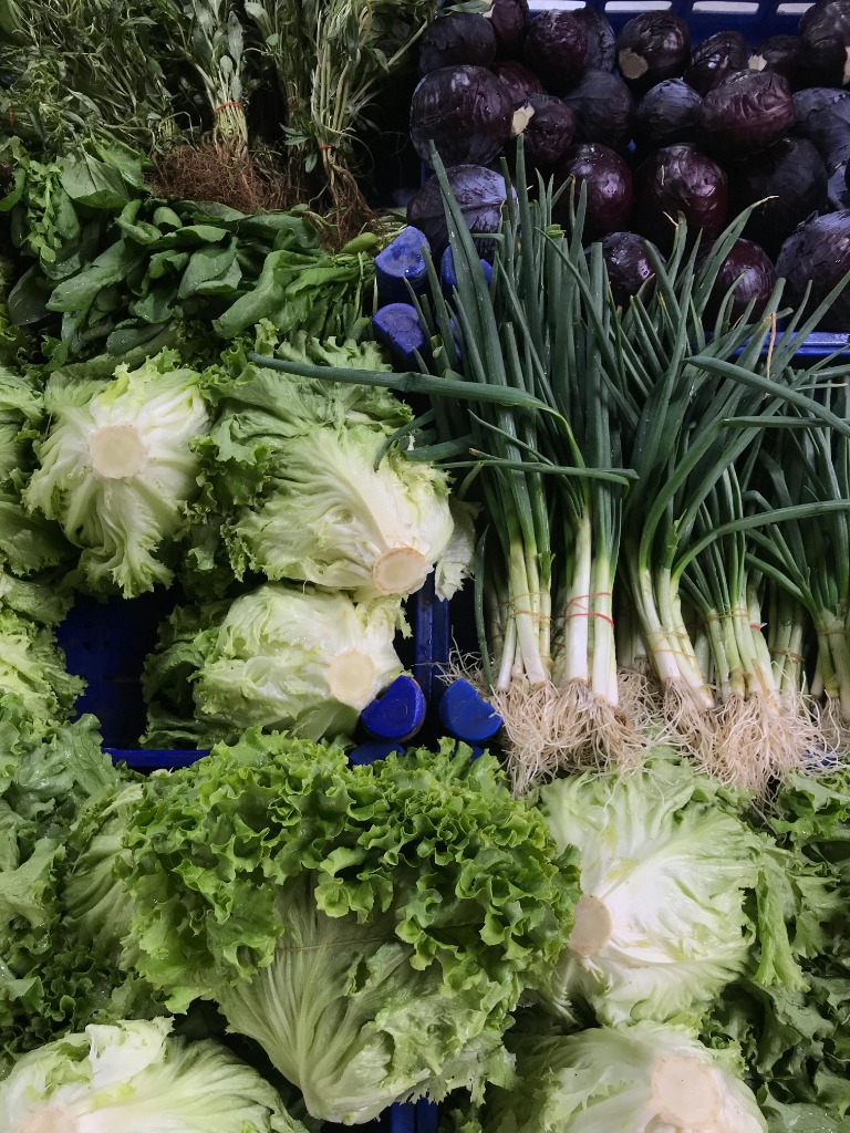 illustration L'Assiette "Verte"