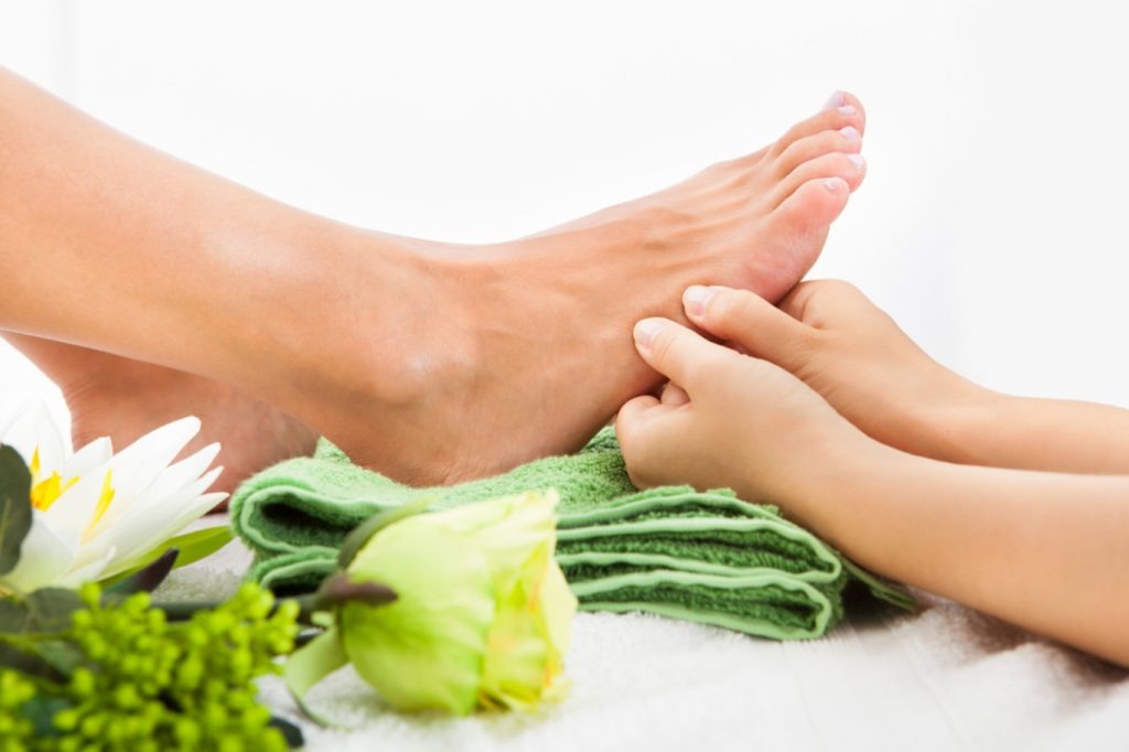 illustration Offre Plantaire à 40€ du 1er au 30 avril 2026