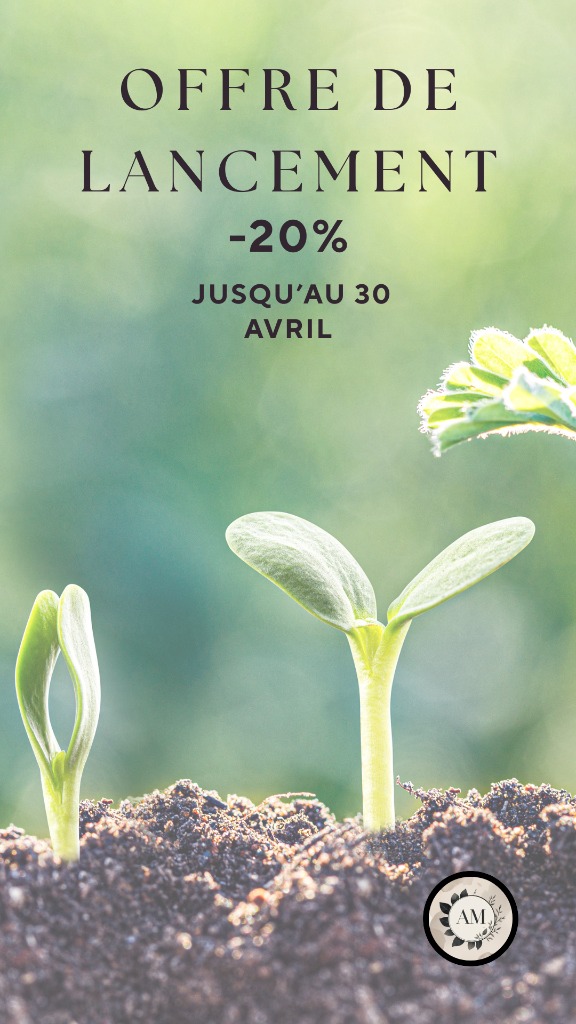 illustration Offre de Lancement
