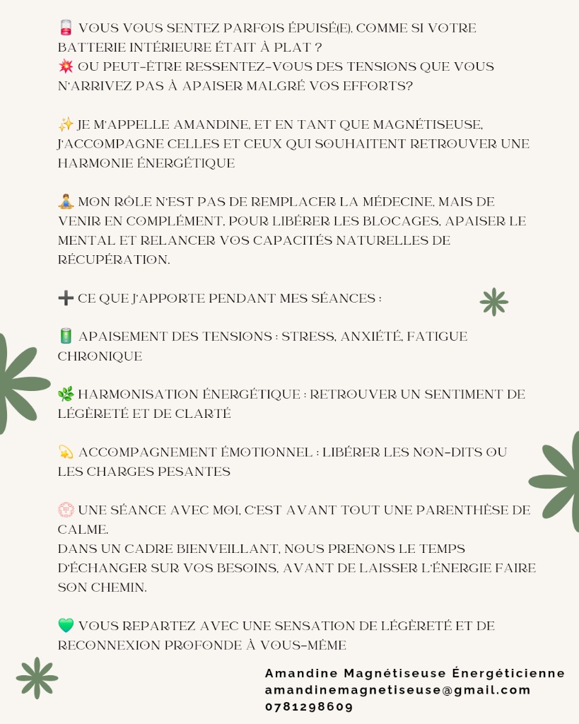 illustration Le Magnétisme