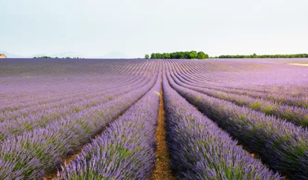 illustration Surmonter le stress ensemble - 17 mai à 14H30