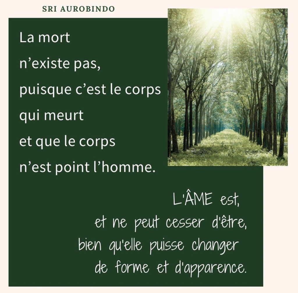 illustration Âmes voyageuses