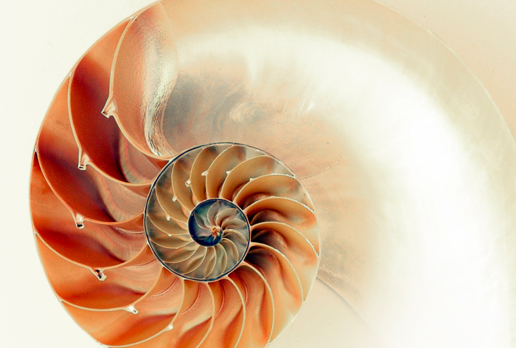 illustration Pour changer de vie, il faut d’abord pouvoir la rêver