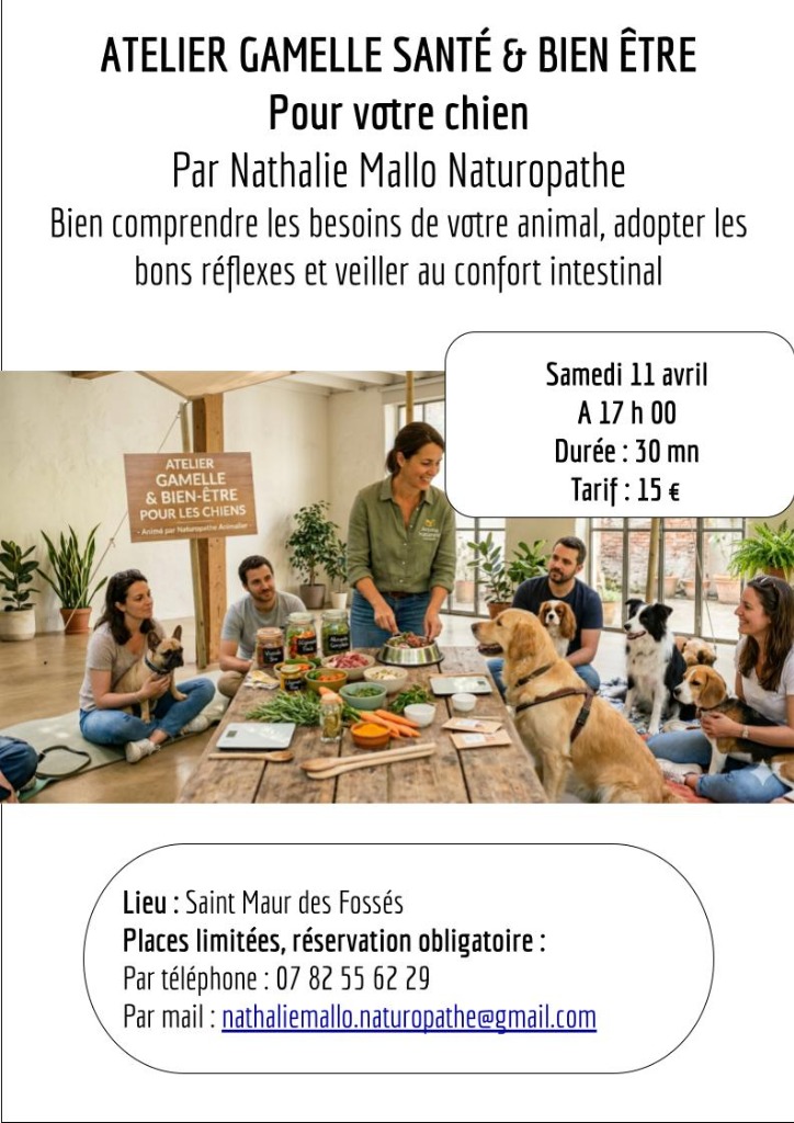 illustration Gamelle santé & bien-être pour votre chien