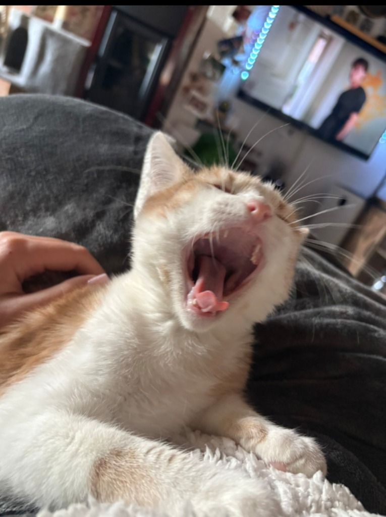 illustration Allergie, phobie, traitement en une séance !