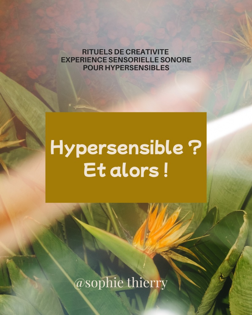 illustration Gestion des émotions hypersensibles