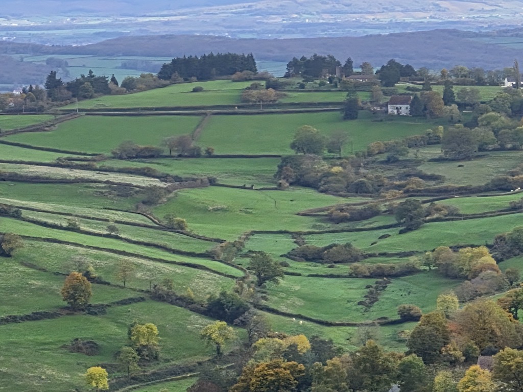 illustration Séances collectives de sophrologie