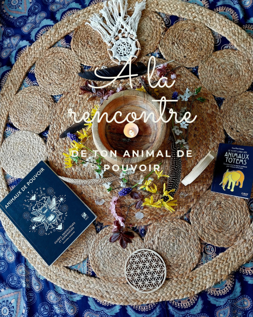 illustration Voyages Chamaniques et animal de pouvoir