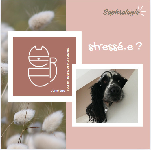 illustration Sophrologie et gestion du stress