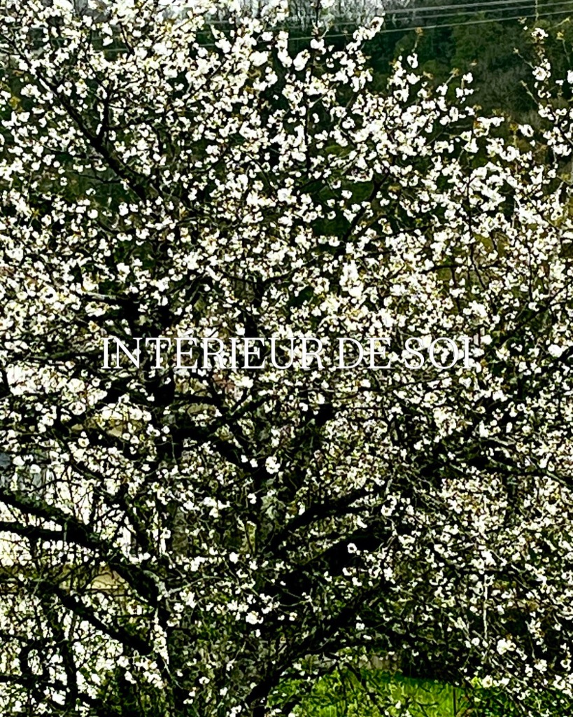 illustration C’est le bon moment !!