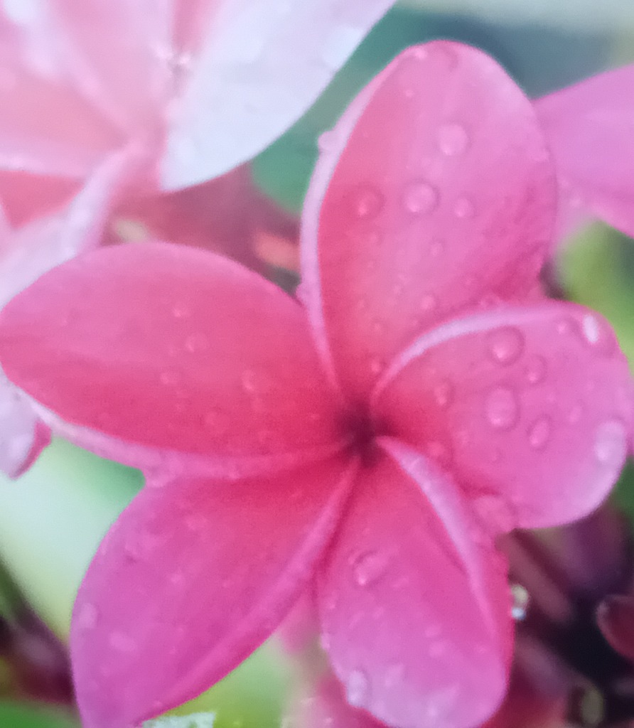 illustration SEMAINE DU 13 AU 17 AVRIL